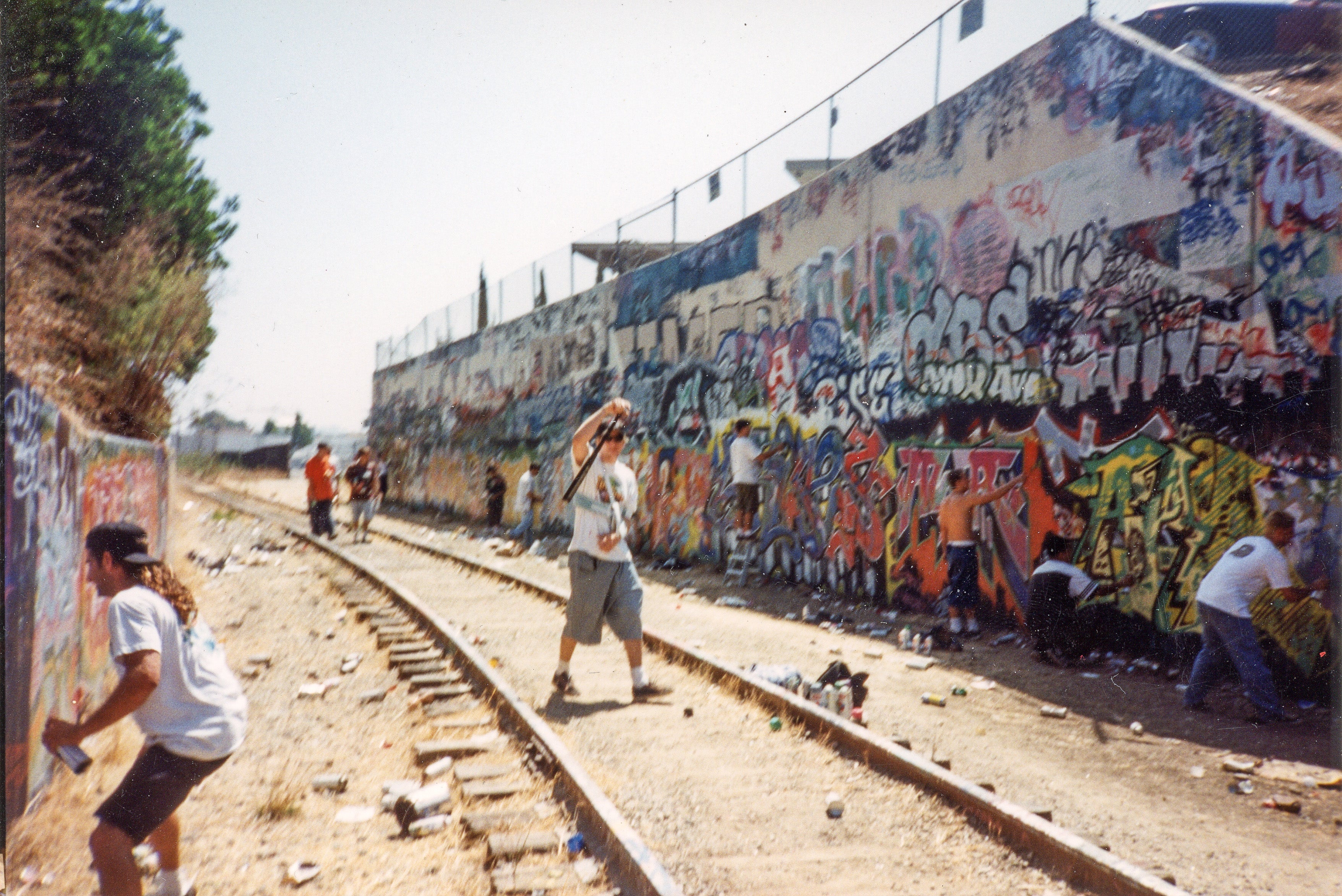 Classic Los Angeles Yards!