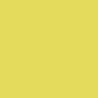 MTN VICE